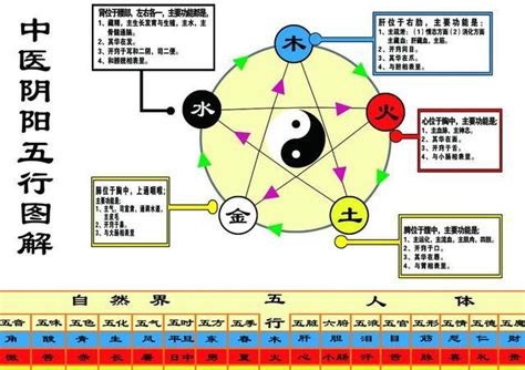 9 五行|九的五行属什么及讲义